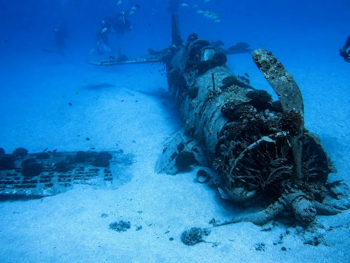 reef landscape
